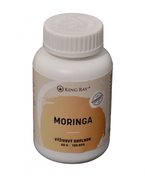 moringa kingray