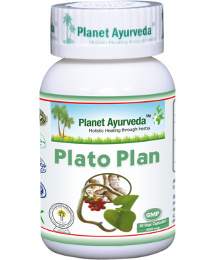 Plato Plan Planet Ayurveda