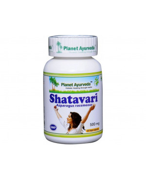 Planet Ayurveda Shatavari extrakt 4:1 500 mg 60 kapslí	