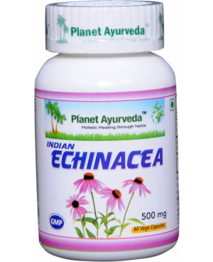 Planet Ayurveda Indická Echinacea extrakt 10:1 500 mg 60 kapslí	