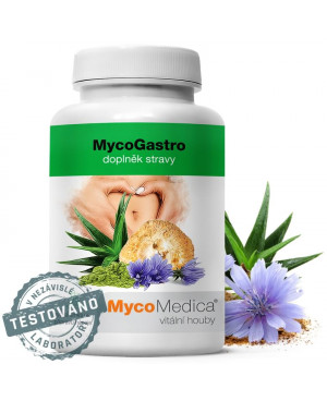 MycoMedica MycoGastro prášek 90g	